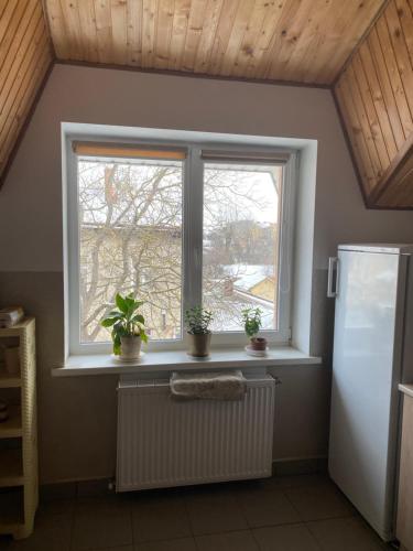 a window in a kitchen with potted plants on it at Домашній Затишок in Stryi