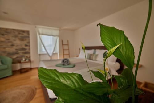 a large green plant in a room with a bed at Osteria Manciana con Alloggio MONTE GENEROSO in Scudellate