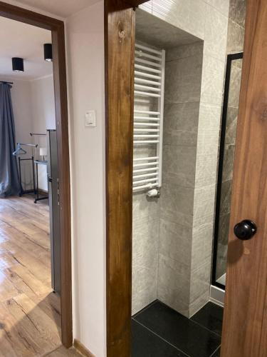 a bathroom with a walk in shower next to a door at Apartamenty Bezrzecze in Szczecin