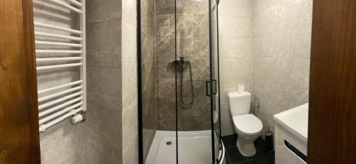 uma casa de banho com um WC e uma cabina de duche em vidro. em Apartamenty Bezrzecze em Szczecin