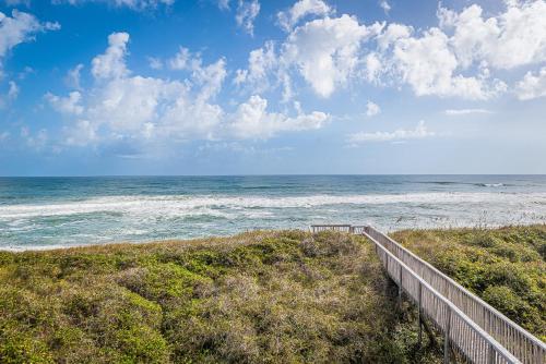 Fins – Photos 3