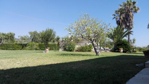 a yard with a tree and a house at Masseria Fragnale in Fasano