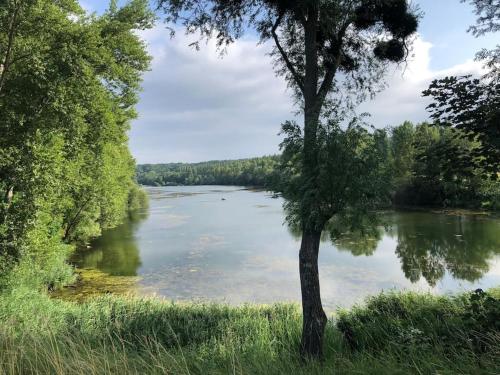 une vue sur une rivière avec un arbre au premier plan dans l'établissement Country house - 5 mns from Fontainebleau, 