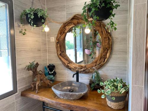 a bathroom sink with a mirror and potted plants at Gite à la ferme avec jacuzzi et piscine chauffée in Saint-Félix-de-Tournegat
