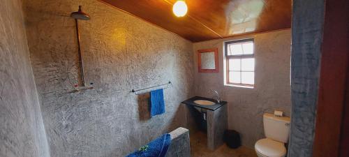 a bathroom with a toilet and a sink and a window at Swartberg Cottages in Prince Albert