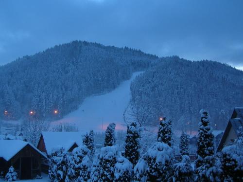 a snow covered mountain with a river and trees at Willa Kania in Szczawnica