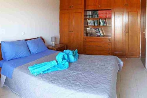 Ένα ή περισσότερα κρεβάτια σε δωμάτιο στο Irene's Apartment In Salakos