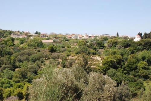 Φυσικό τοπίο κοντά σε αυτό το διαμέρισμα