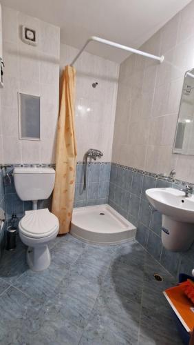 a bathroom with a toilet and a sink at Apartment 24 in Pamporovo