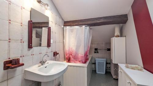 mała łazienka z umywalką i prysznicem w obiekcie Gîte de la Harpe au 4bis w mieście Vauvillers