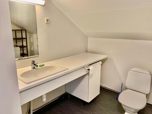a bathroom with a sink and a toilet at Central Apartment Närpes in Närpiö