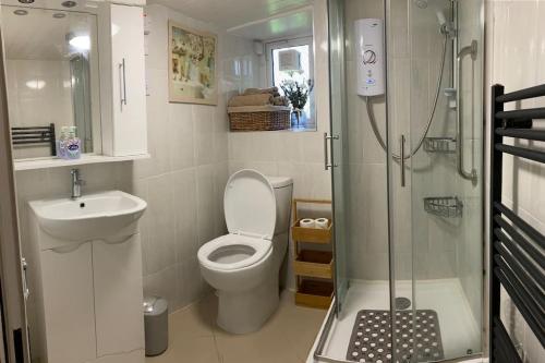 uma casa de banho com um chuveiro, um WC e um lavatório. em The Old Thatch, Lemybrien em Waterford
