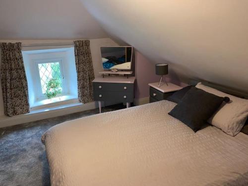 1 dormitorio con 1 cama, TV y ventana en The Old Thatch, Lemybrien en Waterford