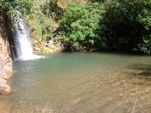 a pool of water next to a waterfall at Casa Bi Rosario - Quinta Amoreira in Faro