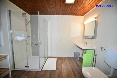 een badkamer met een douche en een wastafel bij Appartement Lechthaler in Embach