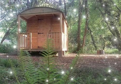a small wooden cabin in the middle of a forest at Woodland Glamping Cabin in Hatherleigh