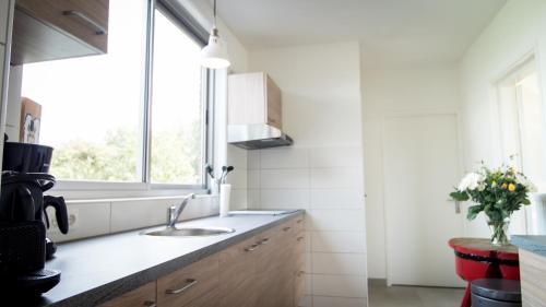 Kuchyň nebo kuchyňský kout v ubytování Polderhuys De Veerhoek