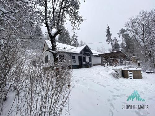 una casa cubierta de nieve frente a un patio en Slowlife Mátra, en Mátraszentistván