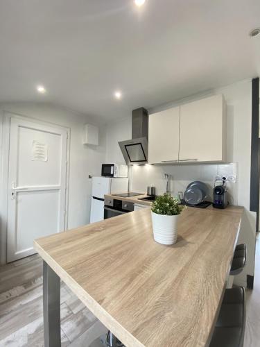 une cuisine avec une table en bois et une plante en pot dans l'établissement La Clé - Port - Gare - Centre de Toulon, à Toulon