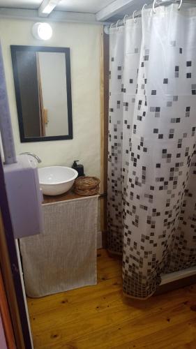 a bathroom with a sink and a shower curtain at Tiny Green House in El Bolsón