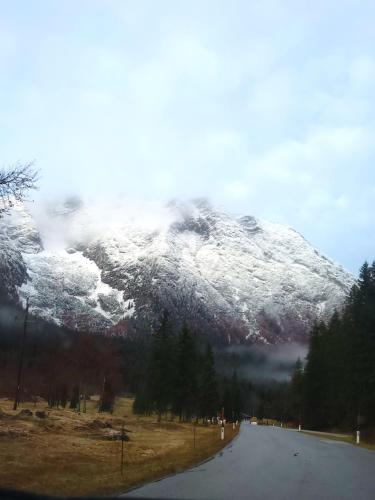 a mountain covered in snow with a road and trees at Appartement Sabrina in Steinberg am Rofan