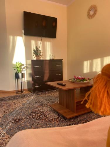 TV tai viihdekeskus majoituspaikassa Apartament Terra II