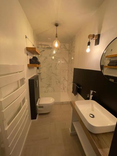a bathroom with a sink and a toilet and a mirror at Très Grand Studio - Terrasse in Strasbourg
