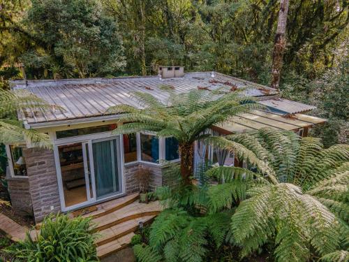 ein kleines Haus mit einer Palme davor in der Unterkunft Lala Haus Gramado in Gramado
