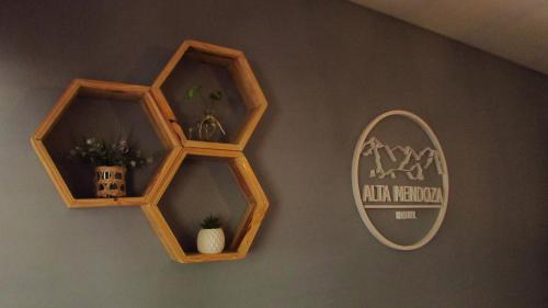 a mirror and a shelf on a wall with a plant at Hotel Alta Mendoza in Mendoza