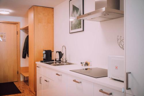 A kitchen or kitchenette at Apartment Auenfeld Widderstein