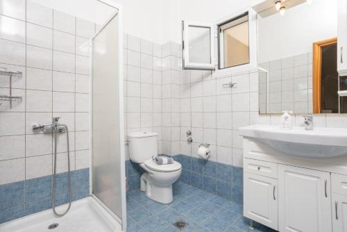 a bathroom with a toilet and a sink and a shower at Villa Erasmia in Vlachata