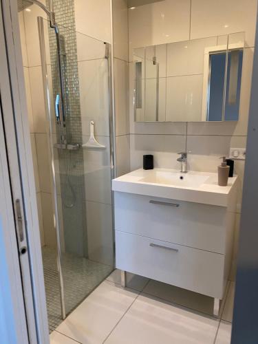 uma casa de banho com um lavatório e um chuveiro com um espelho. em Casaluce em Casaglione