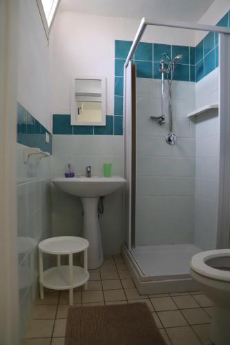 a bathroom with a shower and a sink and a toilet at Rocca dei tramonti in Punta Braccetto