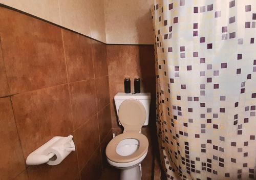 a bathroom with a toilet and a shower curtain at Disfruta Mucho !!! in El Calafate