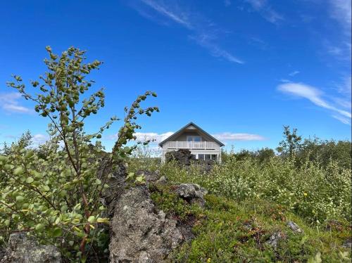 dom siedzący na polu trawy w obiekcie Slow Travel Mývatn - Þúfa - Private Homestay w mieście Mývatn