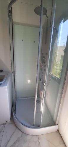 ducha con puerta de cristal junto a un aseo en CASA CONTAINER BOSQUE Y MAR en Mar del Plata