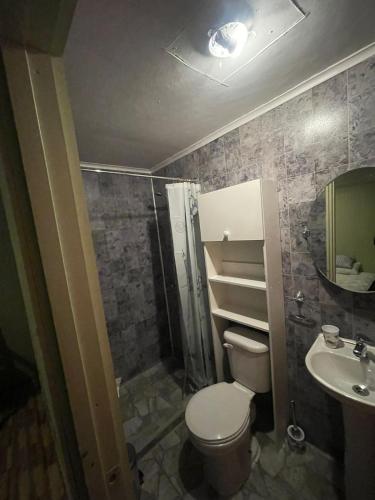 a bathroom with a toilet and a shower and a sink at Casa amoblada en Coronel in Concepción