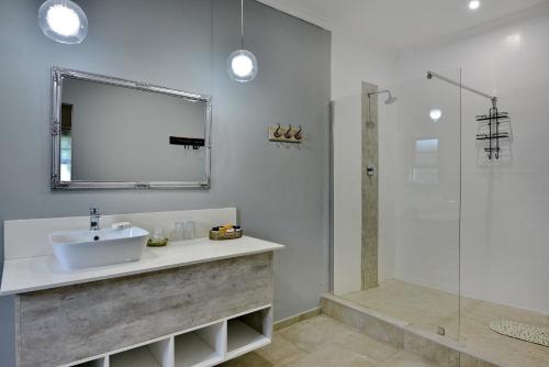 ein Bad mit einem Waschbecken und einer Dusche mit einem Spiegel in der Unterkunft River View Lodge in Kasane