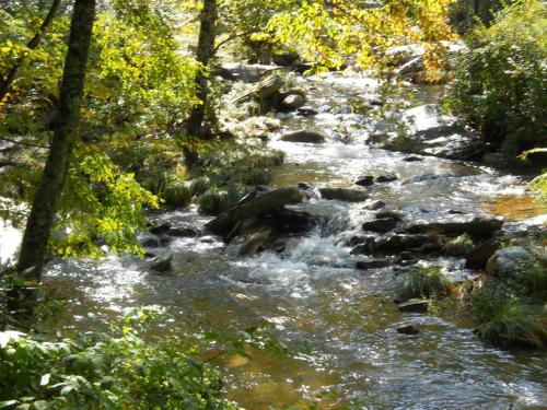 a stream of water with rocks and trees at A River Runs Through It in Valle Crucis