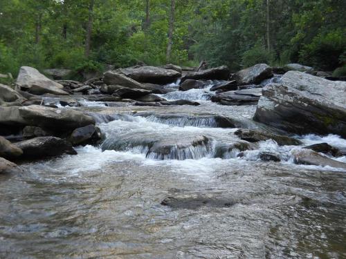 a stream of water with rocks and trees at A River Runs Through It in Valle Crucis
