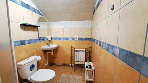 a small bathroom with a toilet and a sink at Pod Zapalenicą w centrum in Szczyrk