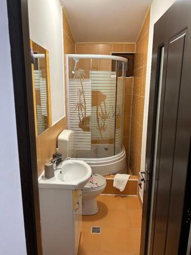 a bathroom with a sink and a toilet and a tub at Pensiunea Marmis in Rîu Bărbat