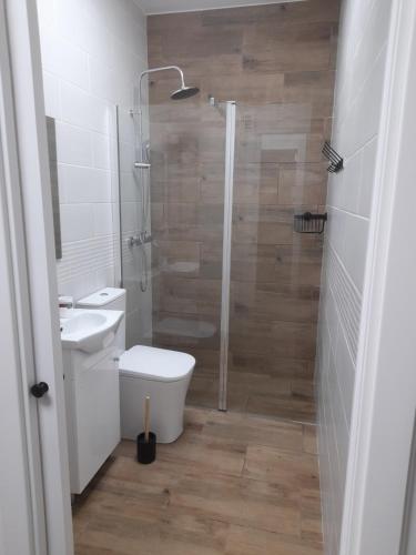 a bathroom with a shower and a toilet and a sink at Las tres llaves in Barcience