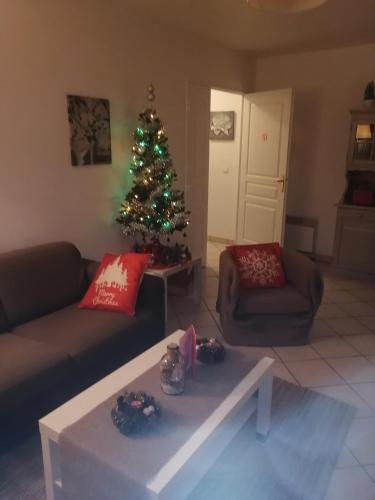 a living room with a christmas tree and a couch at "bienvenue" appartement T2 meublé in Savigny-le-Temple