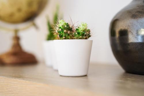 a white cup with a plant in it on a table at Max Lodging Serviced Apartments in Munich