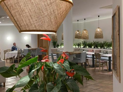 a restaurant with tables and chairs and a plant at Boutique Hotel El Tio Kiko in Agua Amarga