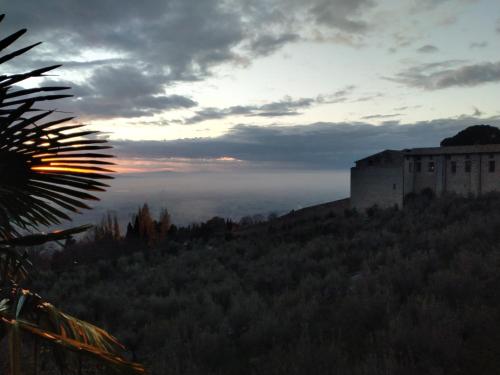 a building on the side of a hill with trees at Appartamenti Santa Chiara in Assisi