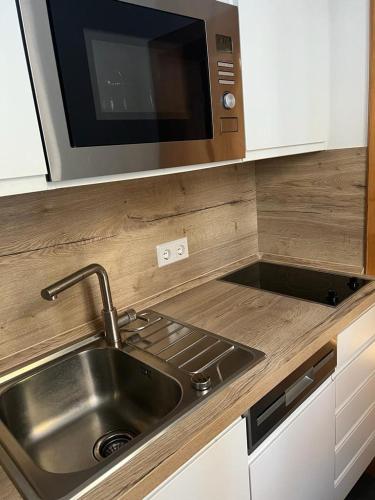 a kitchen with a stainless steel sink and a microwave at Steinbachhütte 1 in Drei Annen Hohne