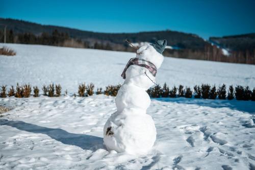 a snow man is standing in the snow at Residence Lipno in Lipno nad Vltavou