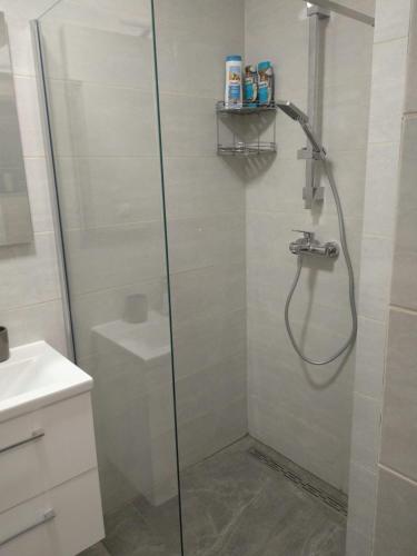 ducha con puerta de cristal y lavamanos en apartmaji LEJARDIN, en Škofljica